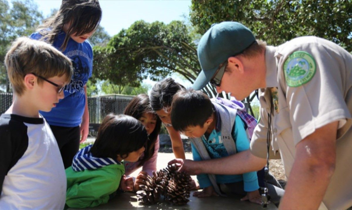 Park ranger and children examining a pine cone