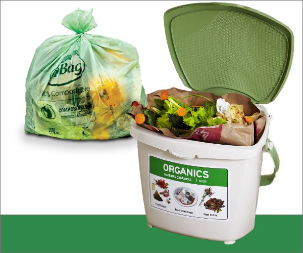 Compostable bag with kitchen scraps inside, kitchen countertop compost bin with scraps