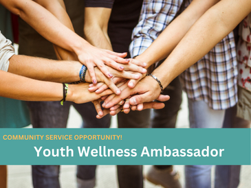 Youth Wellness Ambassador