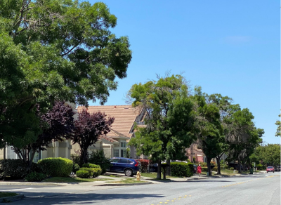 Fremont neighborhood with homes, trees, and streets